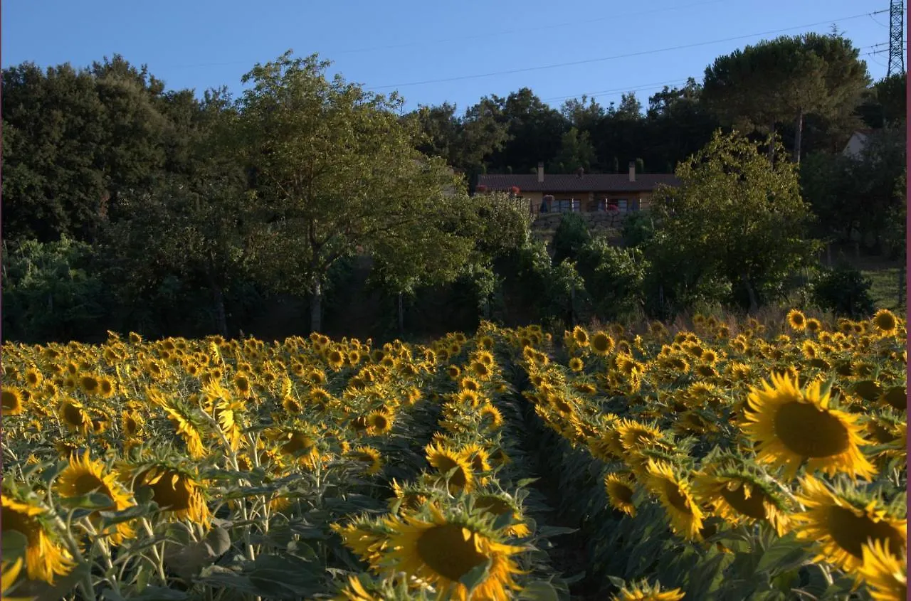 Podere Casalsole Certaldo